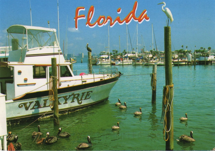 US-614682